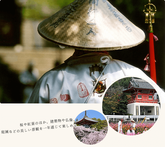 桜や紅葉のほか、建築物や仏像、庭園などの美しい景観を一年通じて楽しめる。