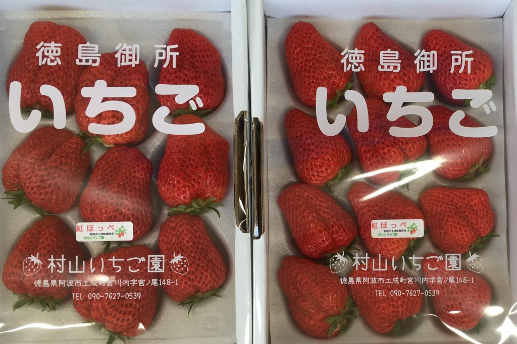 村山いちご園 – 【四国・徳島県】阿波市観光協会