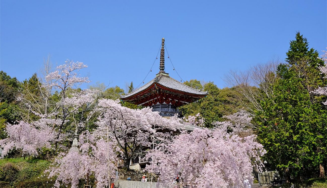 大野寺 (阿波市)