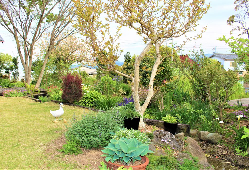 お庭めぐり Happy Garden 四国 徳島県 阿波市観光協会